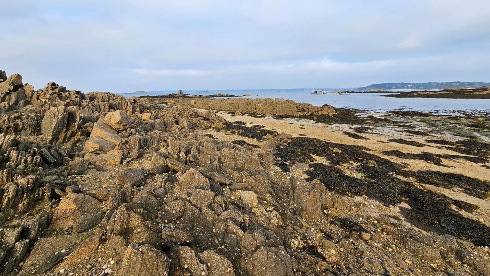 Ker Douara - Ile Callot Carantec Exterior foto